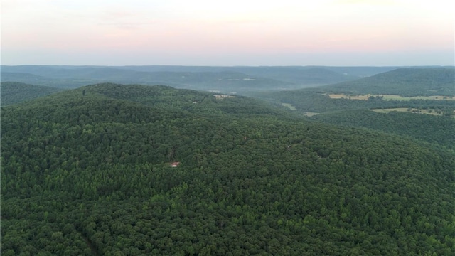 164 Madison 5290, Elkins, AR 72727 - photo 5