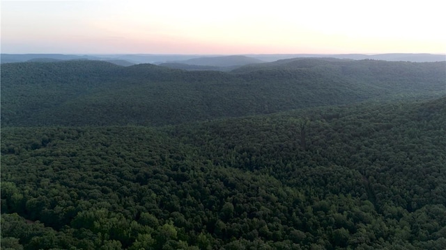 164 Madison 5290, Elkins, AR 72727 - photo 9