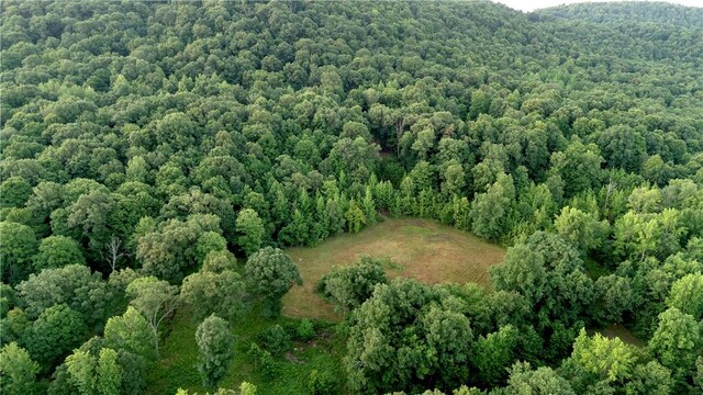 164 Madison 5290, Elkins, AR 72727 - photo 13