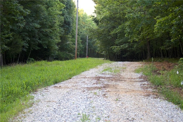 164 Madison 5290, Elkins, AR 72727 - photo 16