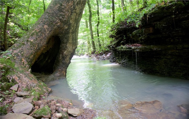 164 Madison 5290, Elkins, AR 72727 - photo 37