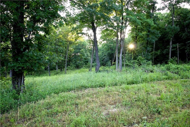 164 Madison 5290, Elkins, AR 72727 - photo 41