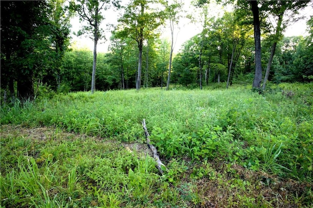 164 Madison 5290, Elkins, AR 72727 - photo 43