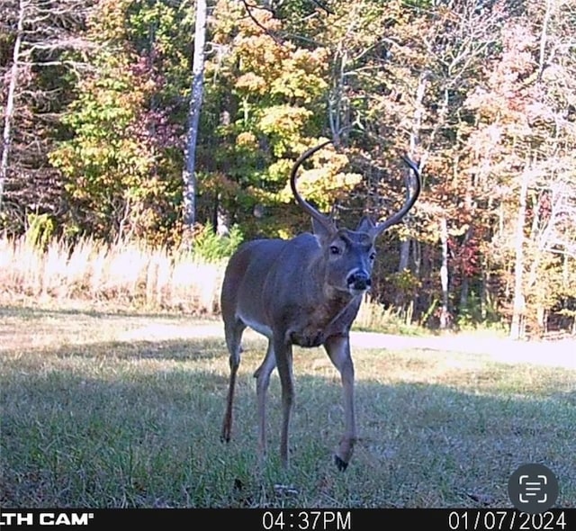 164 Madison 5290, Elkins, AR 72727 - photo 57