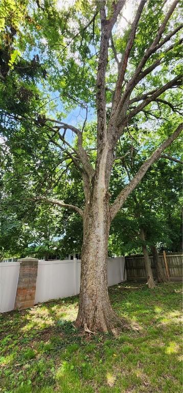 1210 Spring St, Bentonville, AR 72712 - view of yard