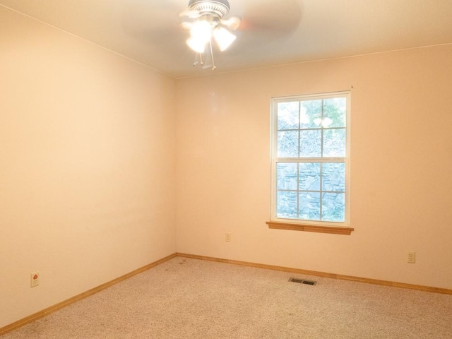 11747 Dogwood Dr, Garfield, AR 72732 - photo 13