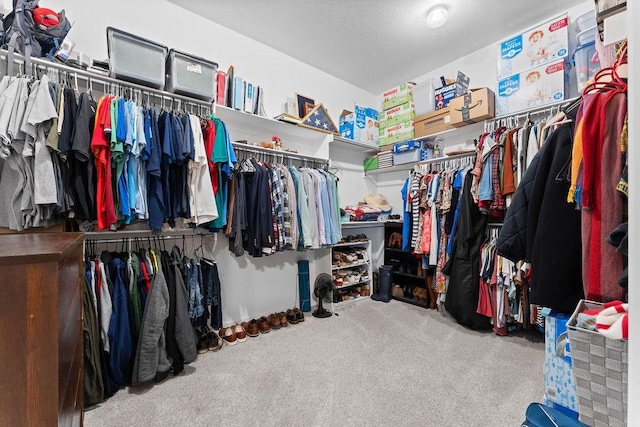 1409 S Breckenridge Loop, Rogers, AR 72756 - walk in closet with carpet flooring