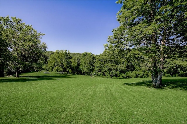 13600 Gooseberry Rd, Bentonville, AR 72712 - photo 9