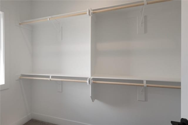 8607 W Feathered Nest Run, Bentonville, AR 72713 - view of walk in closet