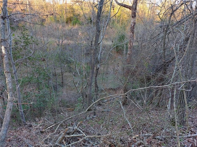 509 E Walnut St, Rogers, AR 72756 - photo 2