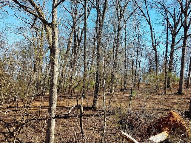 509 E Walnut St, Rogers, AR 72756 - photo 5
