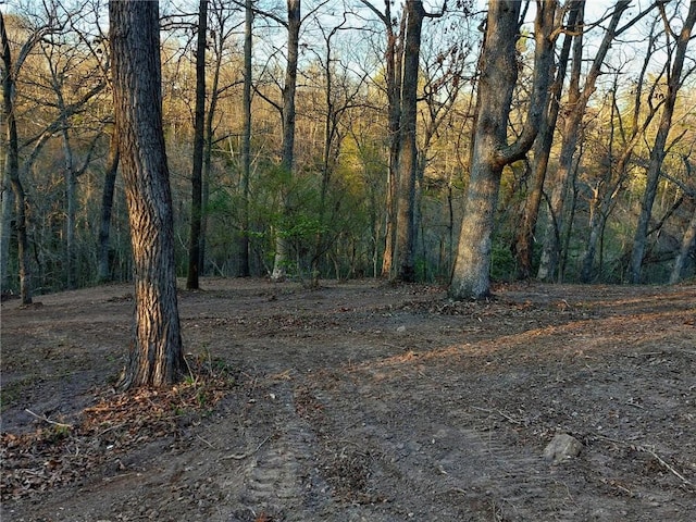 509 E Walnut St, Rogers, AR 72756 - photo 6