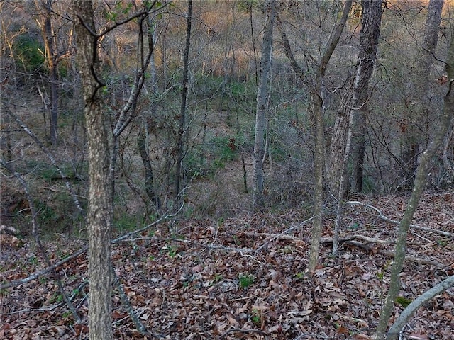 509 E Walnut St, Rogers, AR 72756 - photo 7