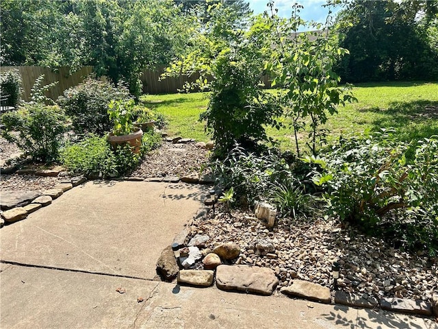 3383 Sr 164 E, Dover, AR 72837 - view of yard