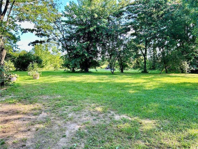 3383 Sr 164 E, Dover, AR 72837 - view of green lawn