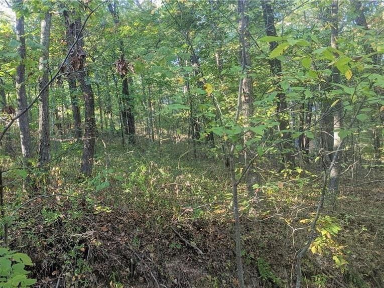 Wincanton Ln, Bella Vista, AR 72715 - photo 1