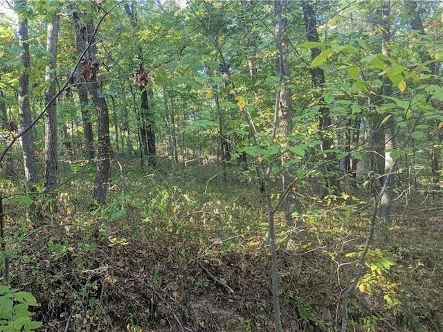 Wincanton Ln, Bella Vista, AR 72715