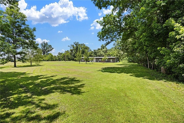 10864 Water Plant Rd, Dardanelle, AR 72834 - photo 4