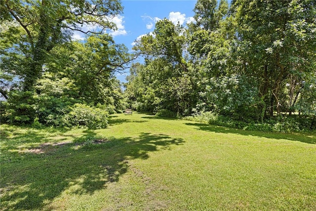 10864 Water Plant Rd, Dardanelle, AR 72834 - photo 44