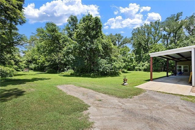 10864 Water Plant Rd, Dardanelle, AR 72834 - photo 45