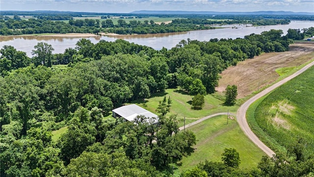 10864 Water Plant Rd, Dardanelle, AR 72834 - photo 51