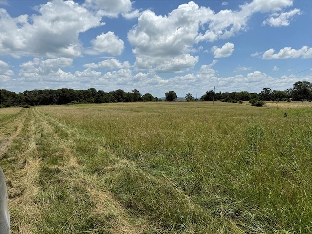 TBD N Mortensen Rd, Lincoln, AR 72744 - photo 2