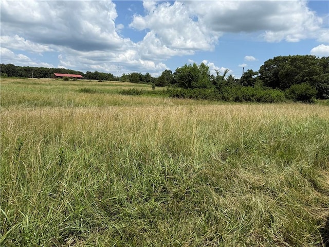 TBD N Mortensen Rd, Lincoln, AR 72744 - photo 3