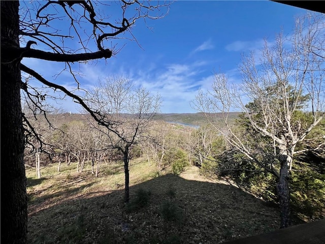 31 Table Rock Dr, Holiday Island, AR 72631 - mountain view