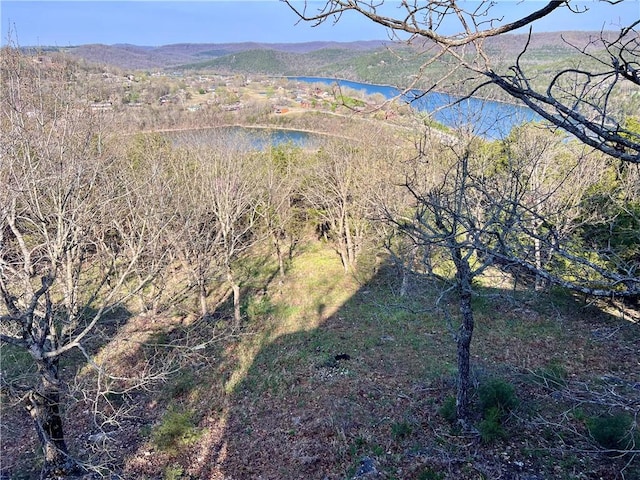 31 Table Rock Dr, Holiday Island, AR 72631 - view of property location featuring a water and mountain view