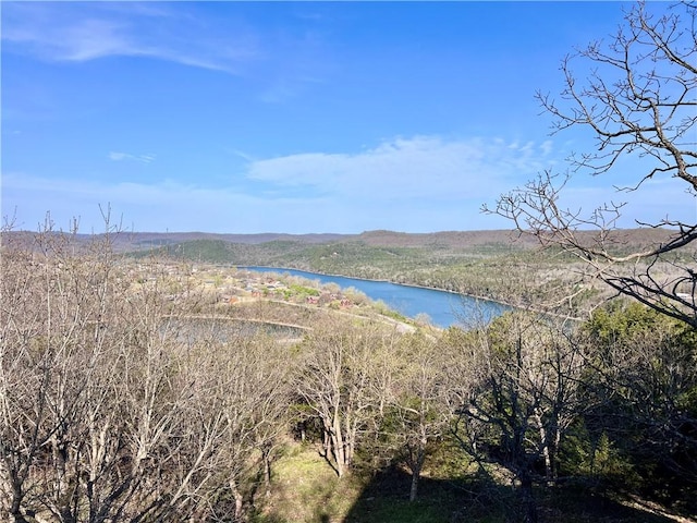 31 Table Rock Dr, Holiday Island, AR 72631 - water view