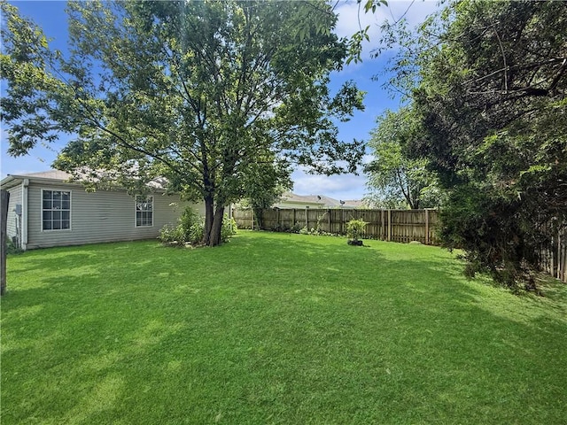 746 Locust St, Springdale, AR 72762 - photo 12