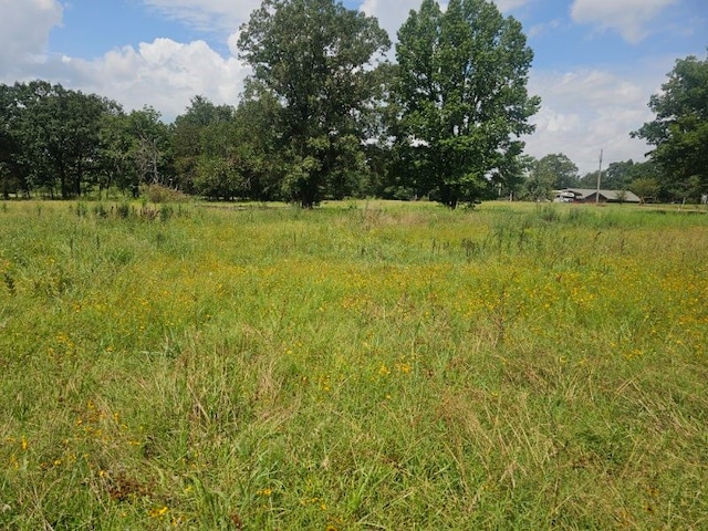 1507 Hollywood Pl, Lavaca, AR 72941 - photo 16