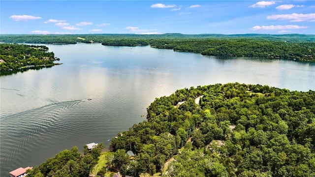 8394 Admiral Nimitz Dr, Rogers, AR 72756 - drone / aerial view of a large body of water