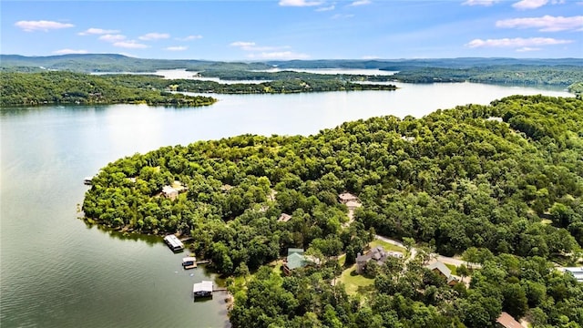 8394 Admiral Nimitz Dr, Rogers, AR 72756 - drone / aerial view of a nearby body of water