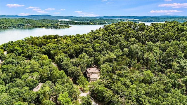8394 Admiral Nimitz Dr, Rogers, AR 72756 - bird's eye view of a nearby body of water