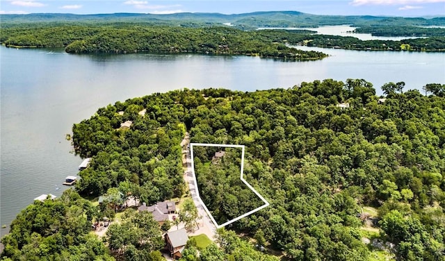 8394 Admiral Nimitz Dr, Rogers, AR 72756 - aerial view of property and surrounding area featuring property parcel outlined and a large body of water