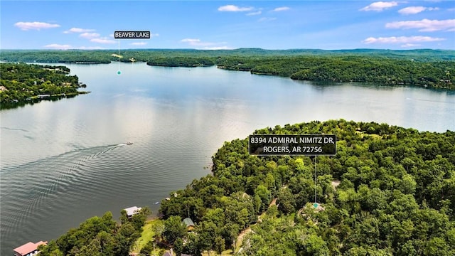 8394 Admiral Nimitz Dr, Rogers, AR 72756 - aerial view of a large body of water