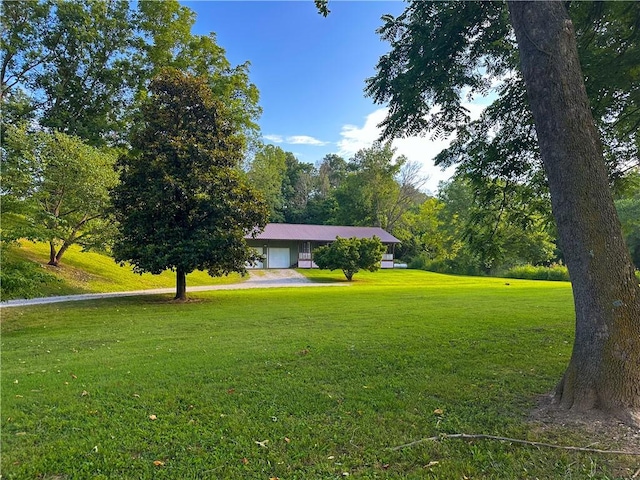 41 County Road 617, Green Forest, AR 72638 - photo 5
