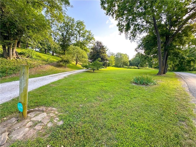 41 County Road 617, Green Forest, AR 72638 - photo 6