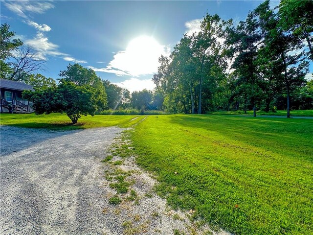 41 County Road 617, Green Forest, AR 72638 - photo 7