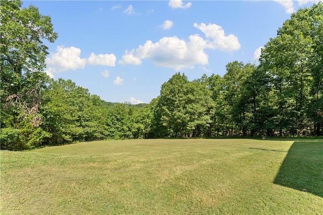 12315 Tyson Rd, Lowell, AR 72745 - photo 34