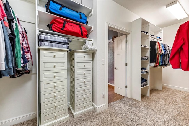 348 Whitcliff Dr, Cave Springs, AR 72718 - spacious closet featuring carpet floors