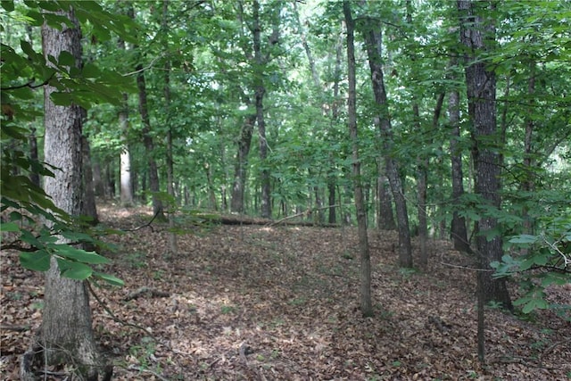 298 E Fox Creek Rd, Kansas, OK 74347