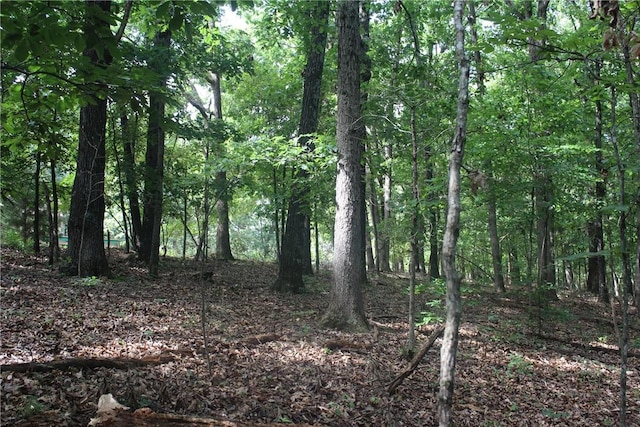 298 E Fox Creek Rd, Kansas, OK 74347