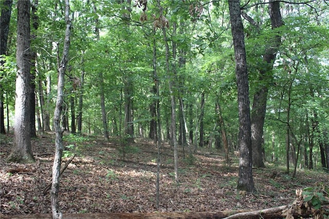 298 E Fox Creek Rd, Kansas, OK 74347