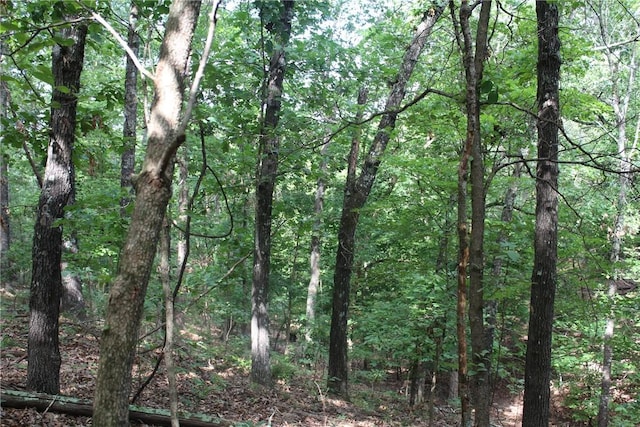 298 E Fox Creek Rd, Kansas, OK 74347