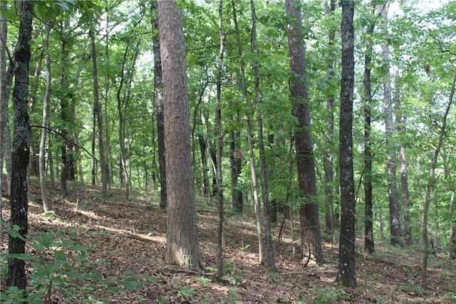 298 E Fox Creek Rd, Kansas, OK 74347