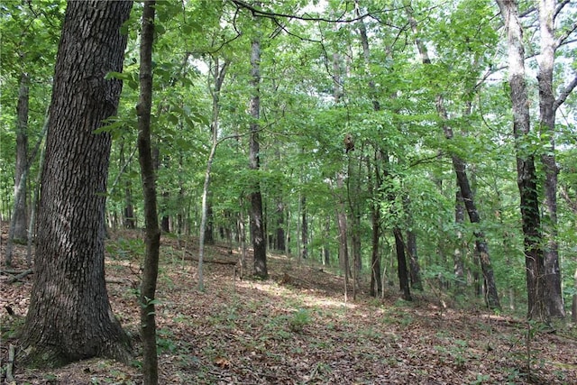 298 E Fox Creek Rd, Kansas, OK 74347