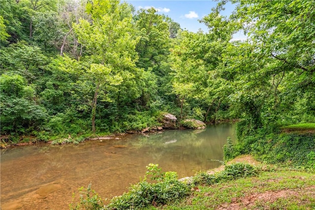 3128 Silver Valley Rd, Harrison, AR 72601 - photo 59