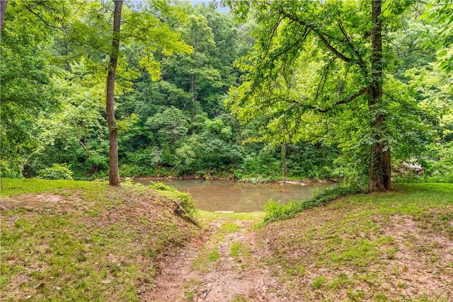 3128 Silver Valley Rd, Harrison, AR 72601 - photo 54